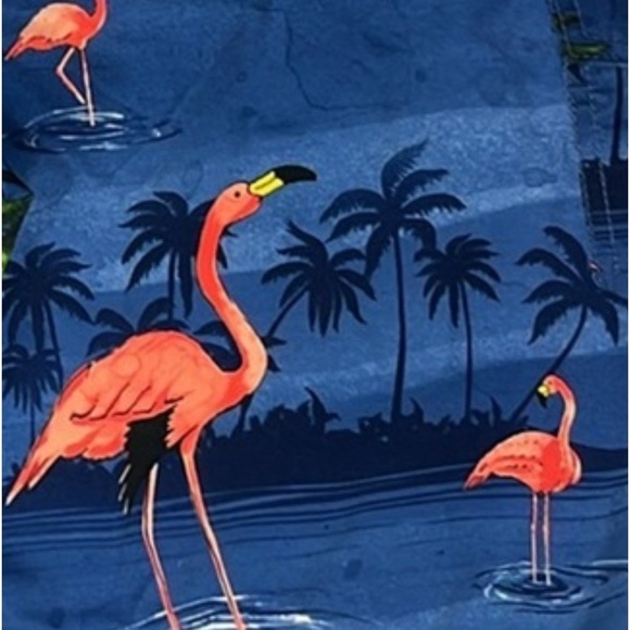 VANS Flamingo 10” Board Shorts Swim Trunks size 34, excellent condition! - Picture 2 of 12